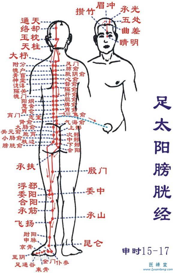 如何利用足太陽膀胱經“生命TXO10TV糖心官网”提精神，增加健康指數